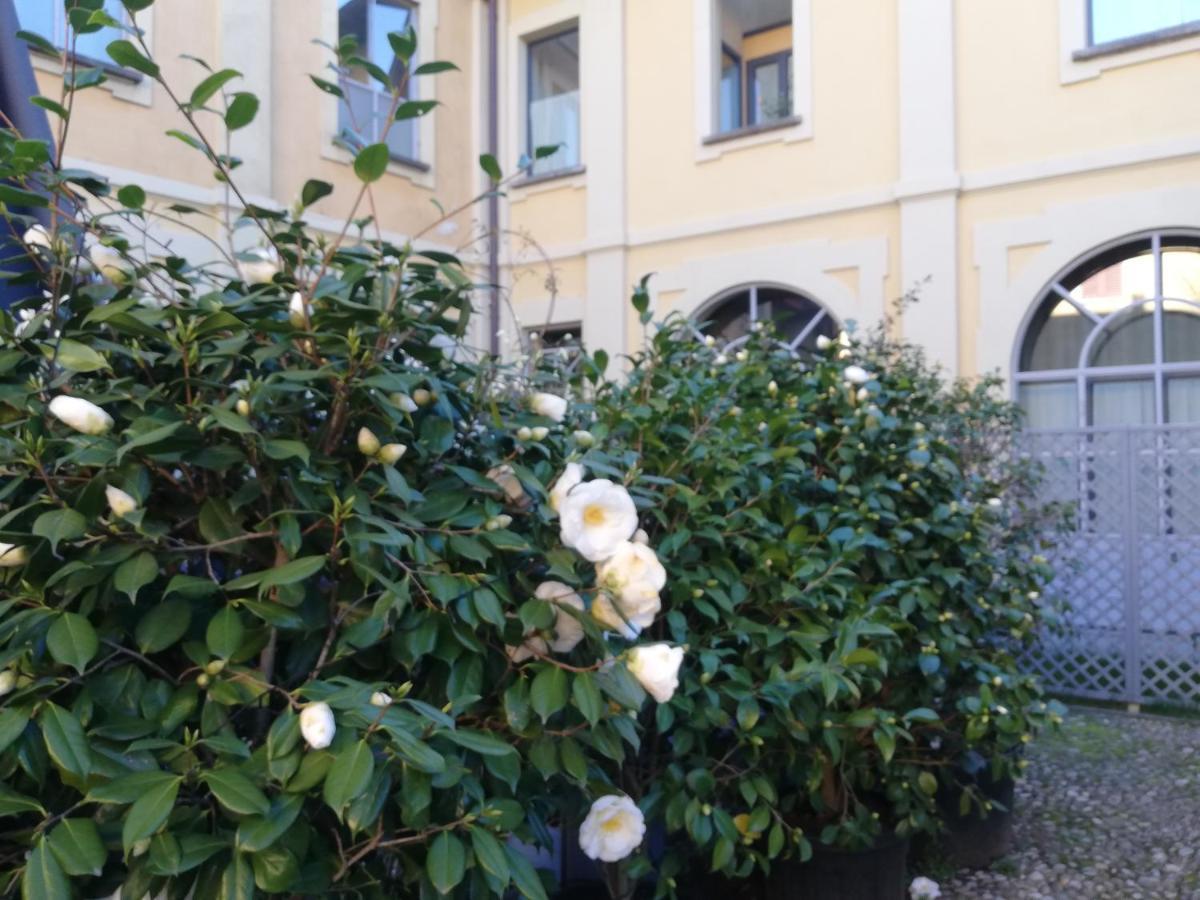 Lisander B&B Suite And Terrace Сереньо Экстерьер фото